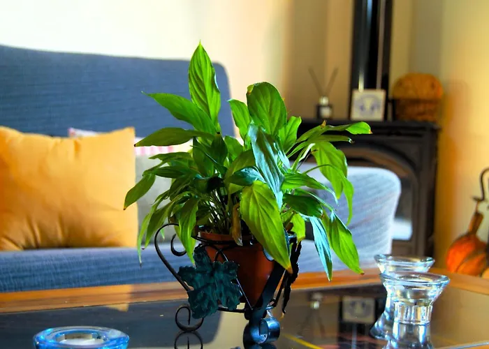 La Majadera El Rosario (Tenerife)