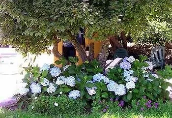 La Majadera El Rosario (Tenerife)